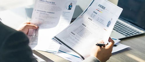 獵頭公司與職業(yè)中介服務(wù)的核心區(qū)別 不只是“找人”那么簡單