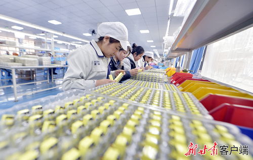 康樂縣東西協作鄉村就業工廠節后復工生產忙，職業中介服務助力穩崗就業